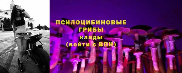 PSILOCYBIN Абдулино