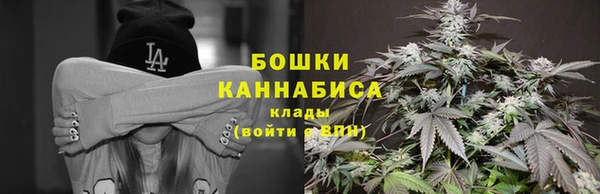 PSILOCYBIN Абдулино