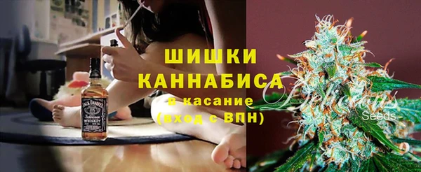 PSILOCYBIN Абдулино