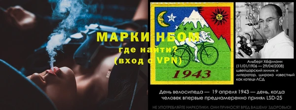 стафф Михайловск