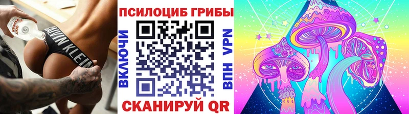 наркотики  Великий Новгород  Псилоцибиновые грибы мухоморы 